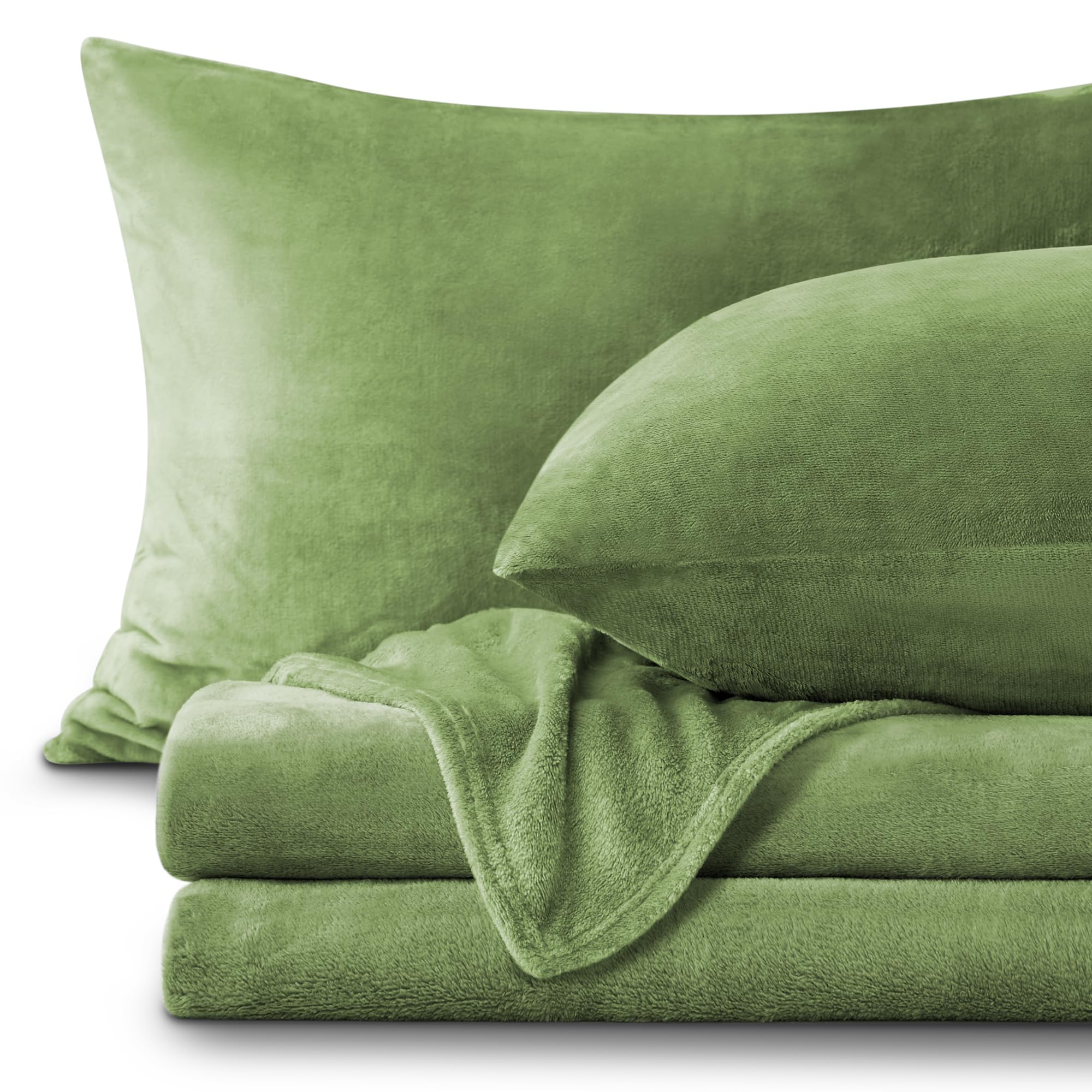 BEDELITE Queen Size Flannel Sheet Set - Super Soft Microfiber Fleece - Sage Green - 4 Piece