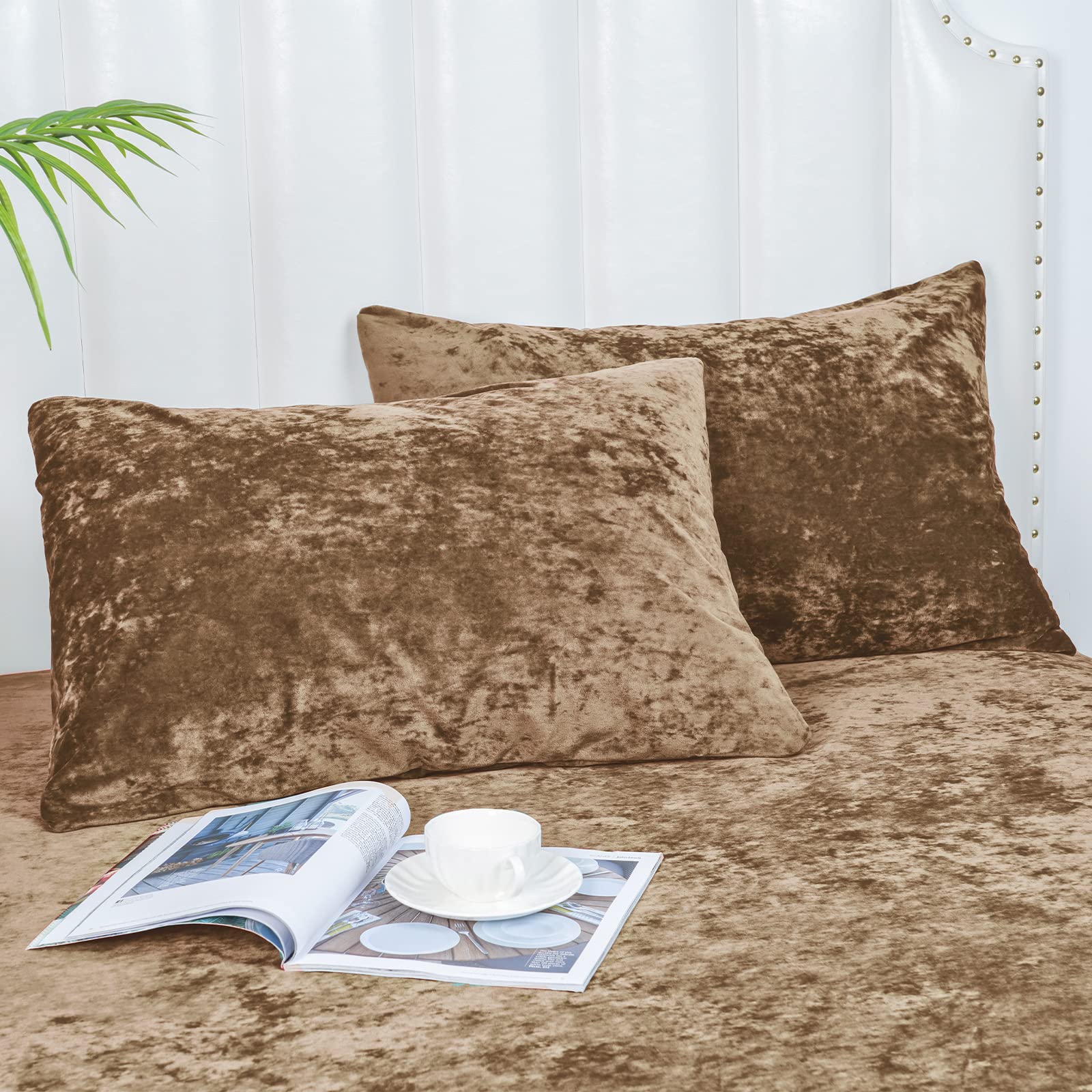 Phf True Velvet Pillowcases Standard Size, 2 Pack Soft Color Gradient Pillow Shams Covers With Envelope Closure, Luxury Cozy Dec