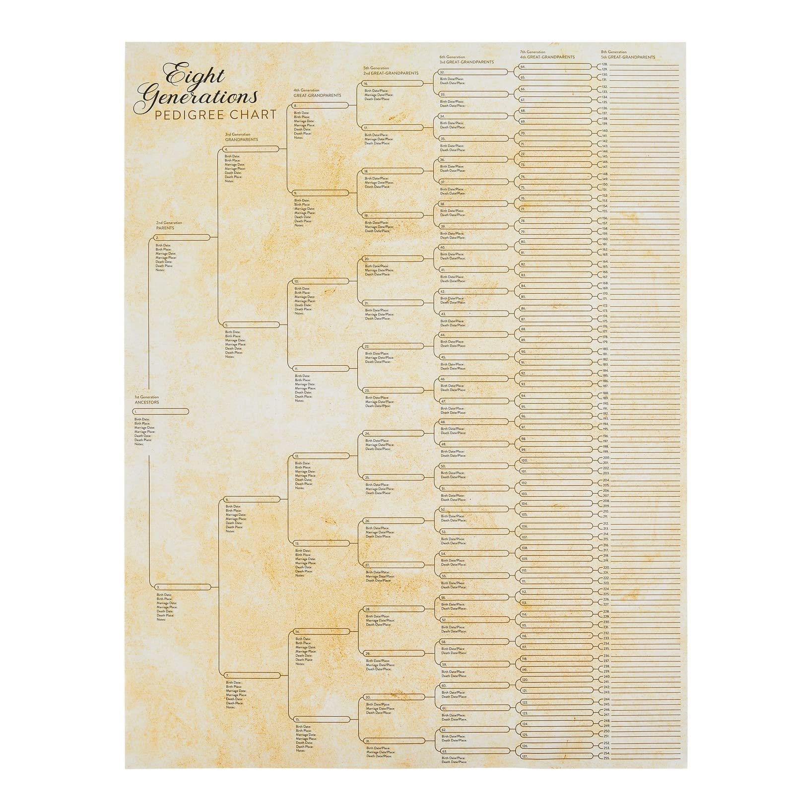 Okuna Outpost 15 Pack Family Tree Charts To Fill In - Blank 8 Generation Genealogy Poster For Family History, Lineage, Reunions,
