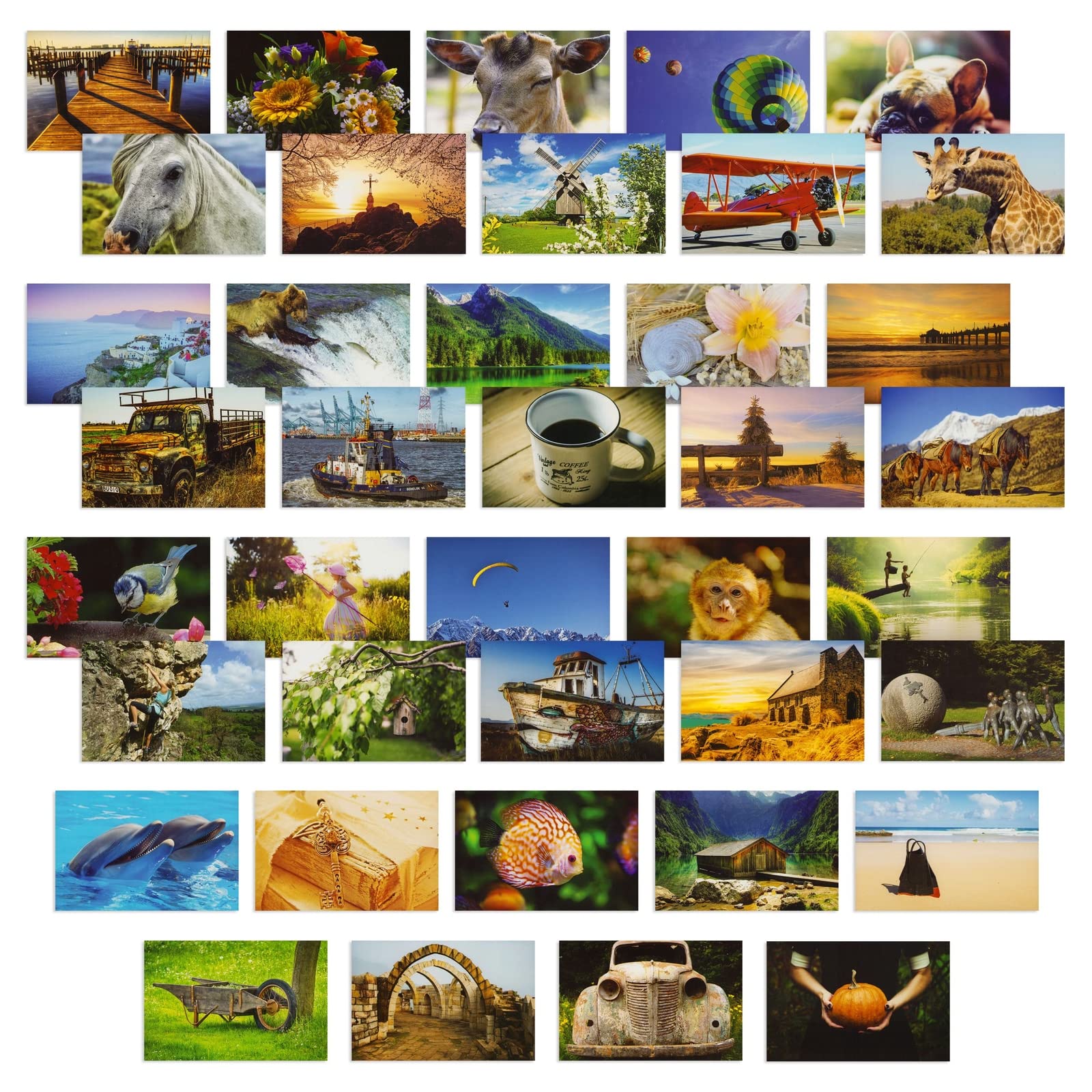 Best Paper Greetings 40 Pack Bulk Animal And Travel Postcards From Around The World For Mailing, Assorted Nature Thank You Notes