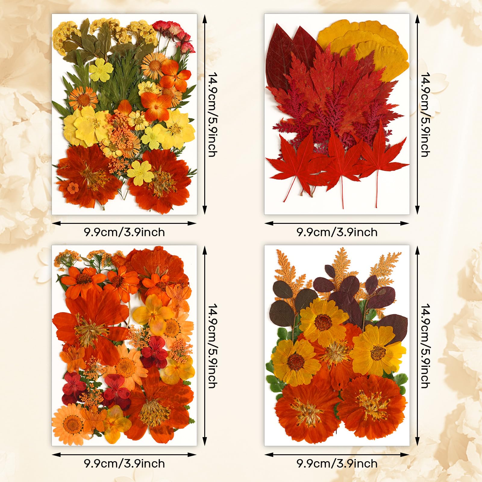 Augshy Fall Dried Pressed Flowers,100 Pcs Autumn Dried Flowers Leaves For Resin Molds Real Pressed Flowers For Crafts Diy Jewelr