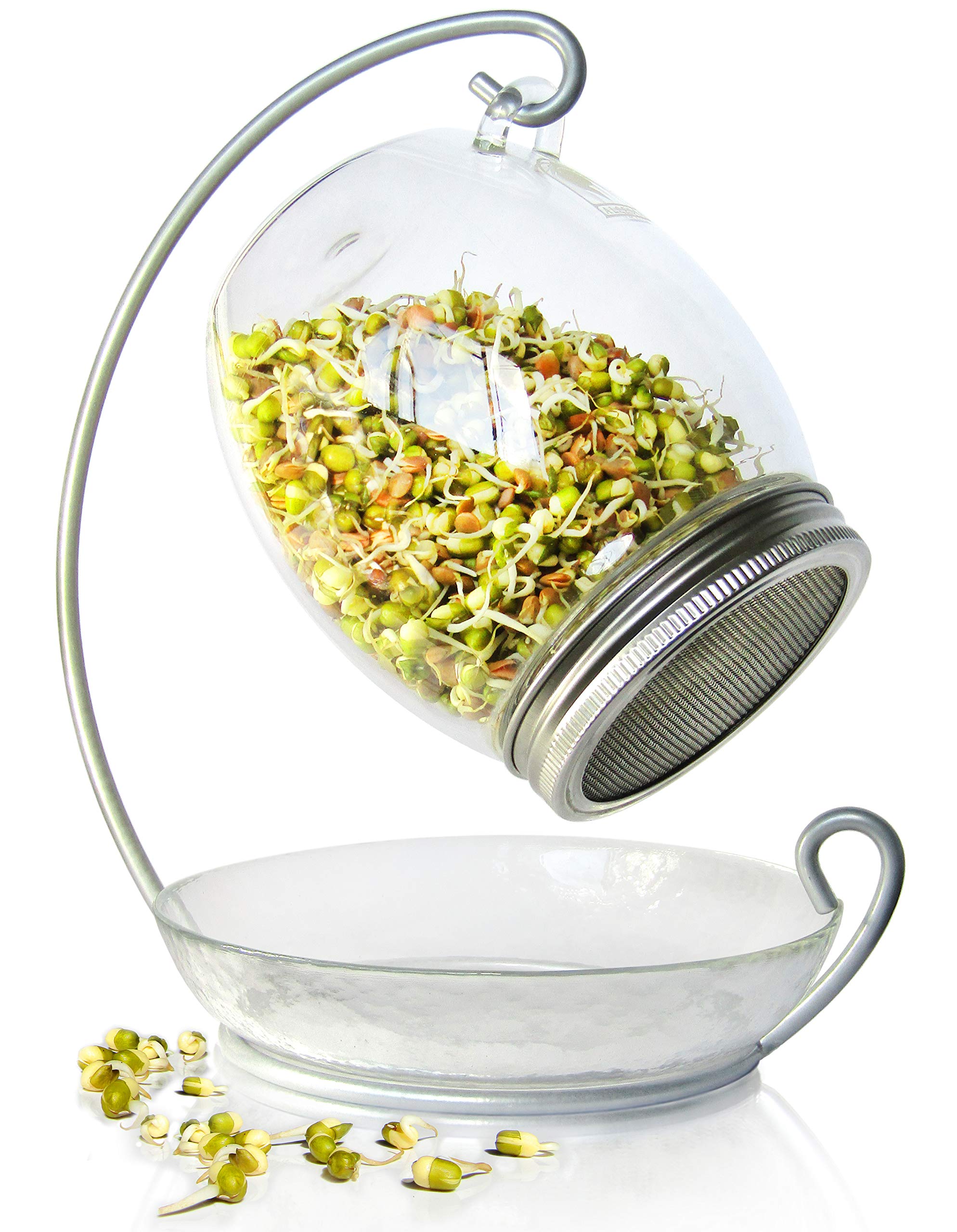 Premium Sprouting Jar Kit - Unique 30 Oz Wide Mouth Sprouting Jar, Stand, Tray And 316 Stainless Screen Lid | Decorative Indoor