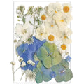 26Pcs Dried Pressed Flowers For Resin Molds,Youthbro Real Natural Pressed Flowers For Diy Art Crafts,Candle Making, Nails Décor,Soap Making, Phone Case