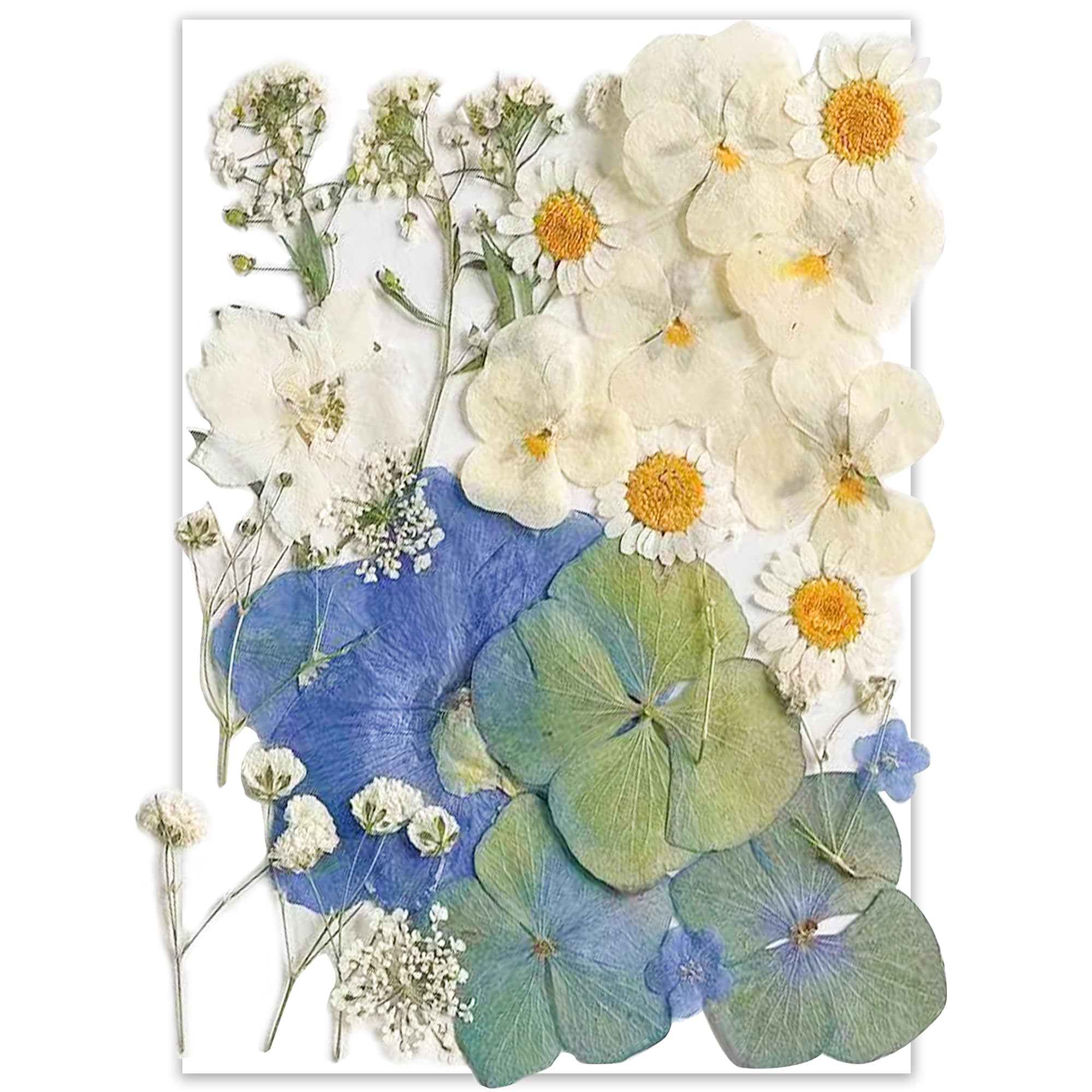 26Pcs Dried Pressed Flowers For Resin Molds,Youthbro Real Natural Pressed Flowers For Diy Art Crafts,Candle Making, Nails Décor,Soap Making, Phone Case
