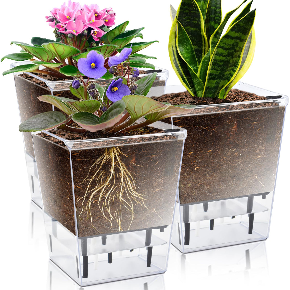 Iwntwy Self Watering Pots Set, 3 Pack 5 Inch Self Watering Pots For Indoor Plants, Clear Planter Pot With Deep Reservoir For Spi