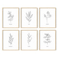 HAUS AND HUES Kitchen Herbs Wall Art Decor for Kitchen Herb Art Prints and Kitchen Signs Wall Decor  Herb Prints Kitchen Wall Ar