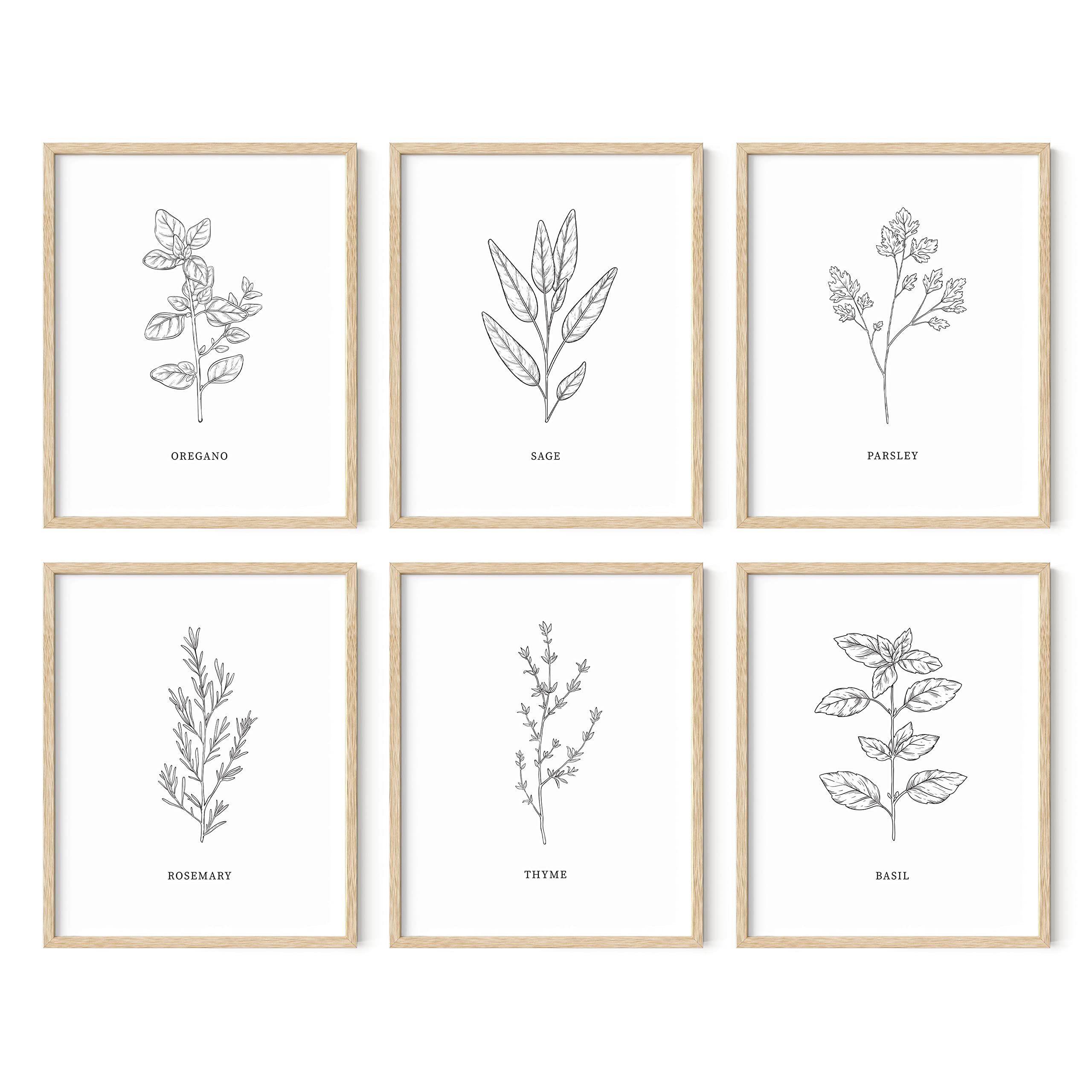 HAUS AND HUES Kitchen Herbs Wall Art Decor for Kitchen Herb Art Prints and Kitchen Signs Wall Decor  Herb Prints Kitchen Wall Ar