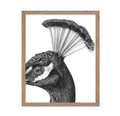 Poster Master Vintage Peacock Poster - Retro Peacock Head Print - Bird Portrait Art - Gift for Him, Her, Bird Watcher, Animal Lo