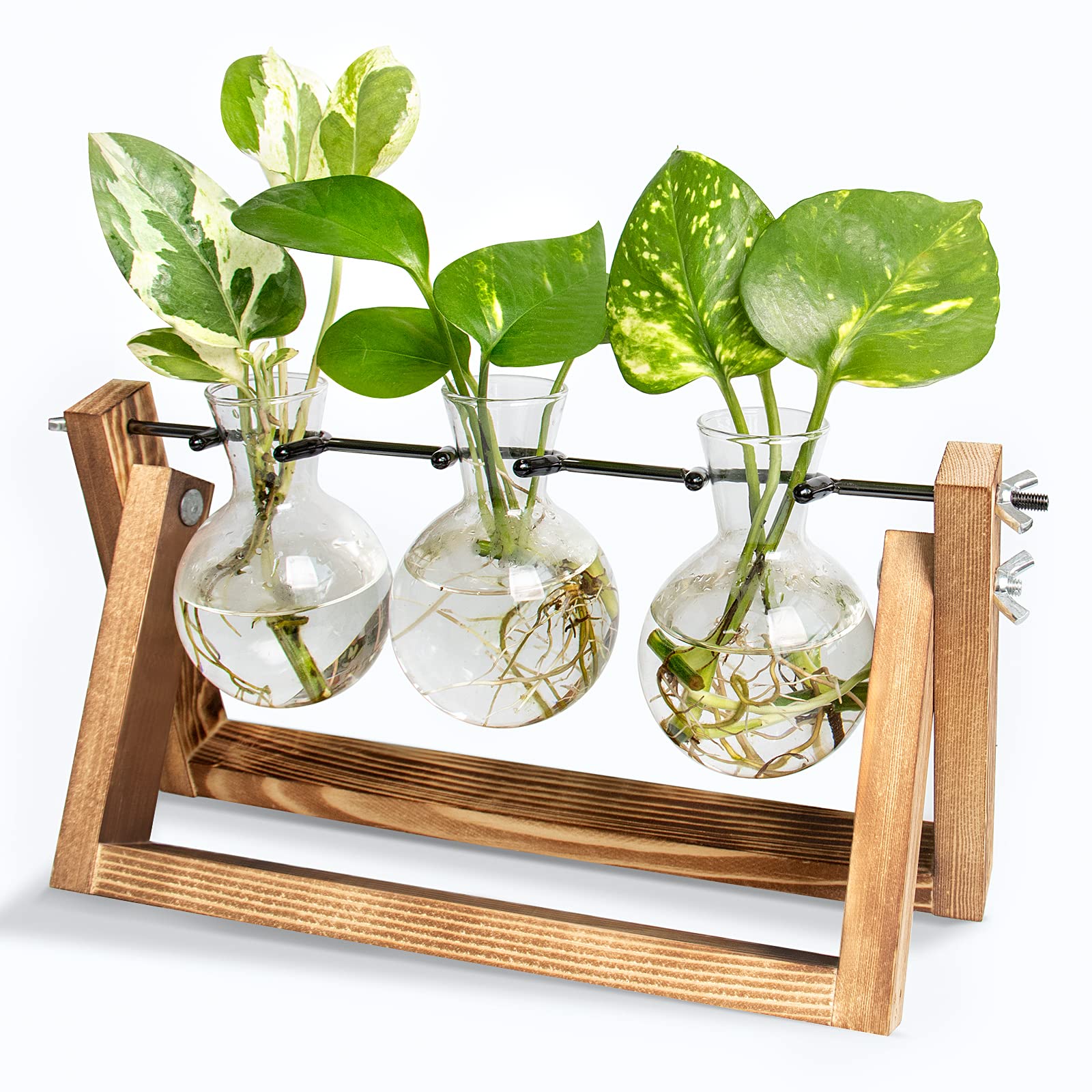 Ivolador Desktop Propagation Station, Bulb Plant Terrarium With Retro Solid Wooden Stand And Metal Swivel Holder For Hydroponics