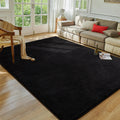 Softlife Washable Living Room Rug, 5x7 Black Area Rugs for Bedroom, Soft Fluffy Fuzzy Carpet Bedside Rug Indoor Non-Slip Rug for
