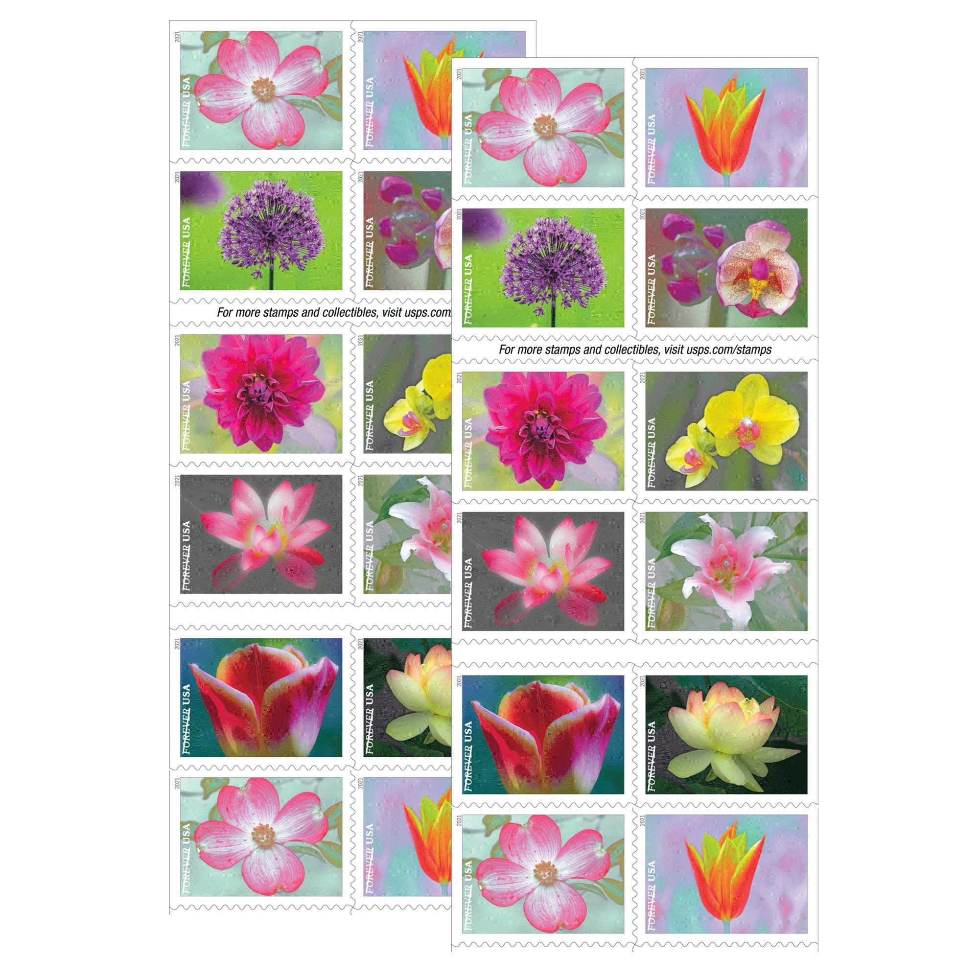 Usps Garden Beauty (2 Booklets Of 20) Postage Forever Stamps Us Postal First Class Wedding Celebration Anniversary Flowers Party