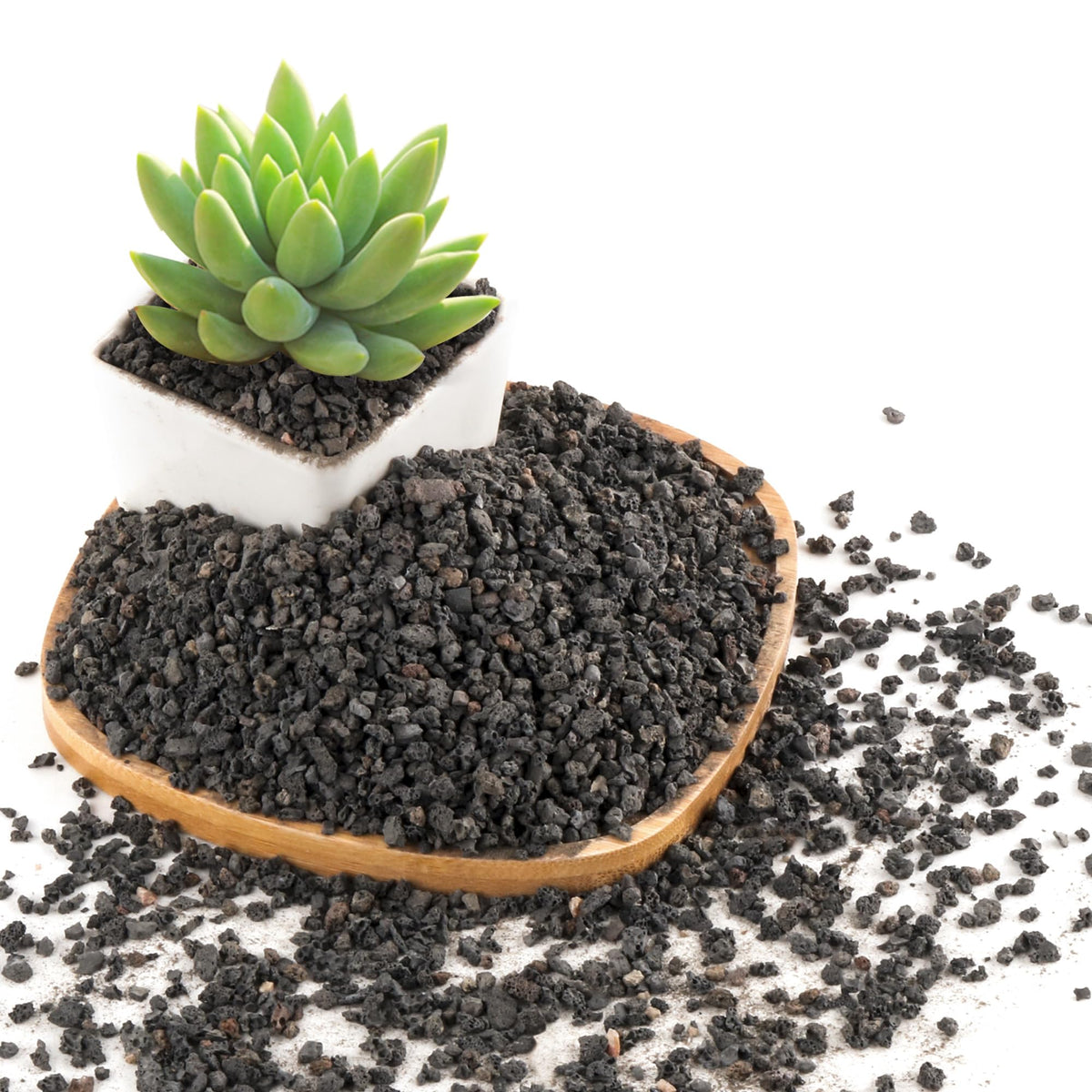2.4Lb Black Lava Rocks For Plants, Volcanic Rock Horticultural Lava Rock Soil For Landscaping Plants Drainage, Small Lava Rock G