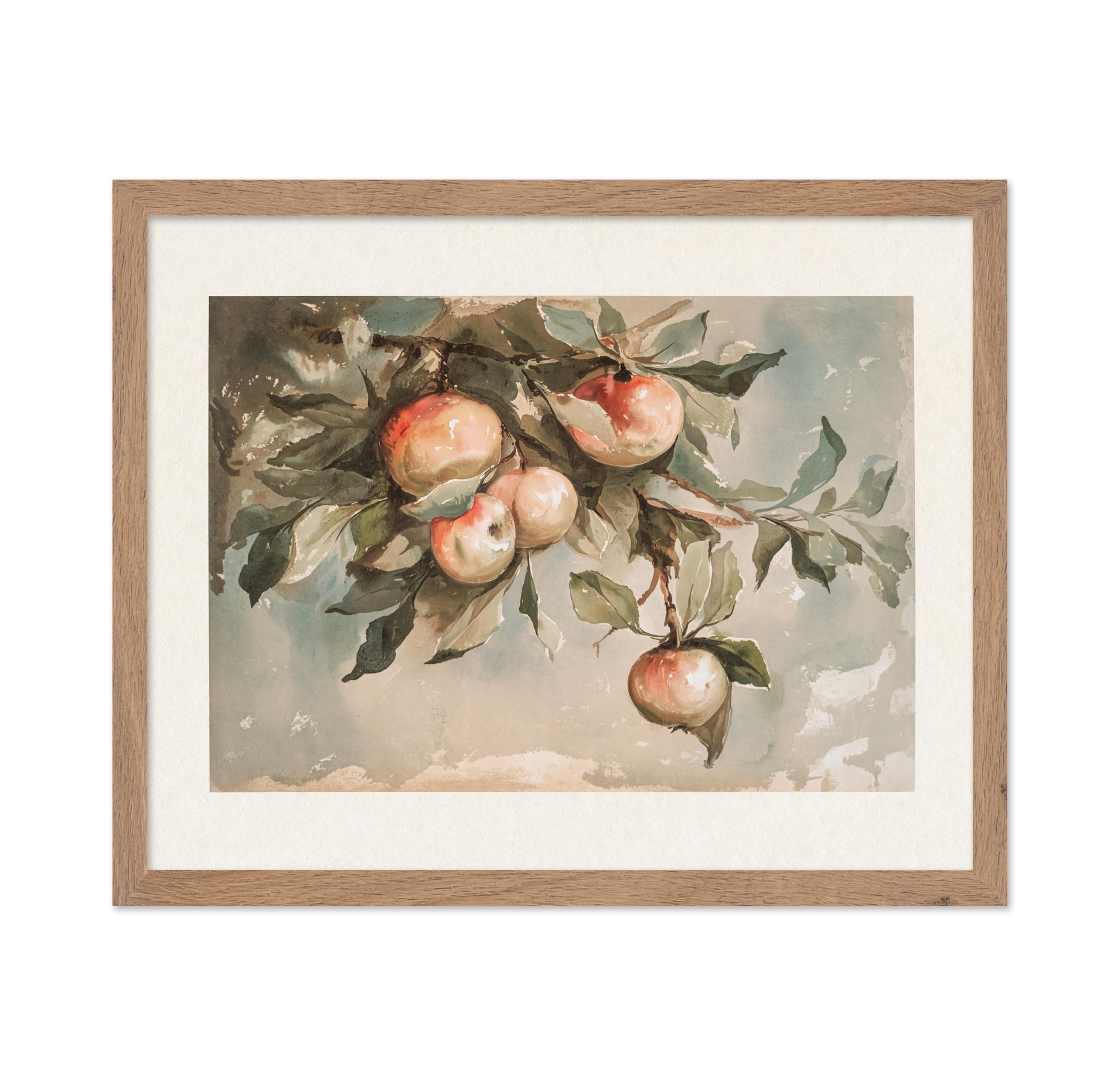 Poster Master Vintage Study Of Apples Poster - Retro Still-life Fruit Print - Watercolor Art - Fruit Art - Gift for Men & Women 