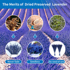Dried Blue Lavender Flowers Bundle-Dried Preserved Lavender Bouquet 15''-17'' For Home Wedding Shower Vase D  Cor, Aromatherapy,