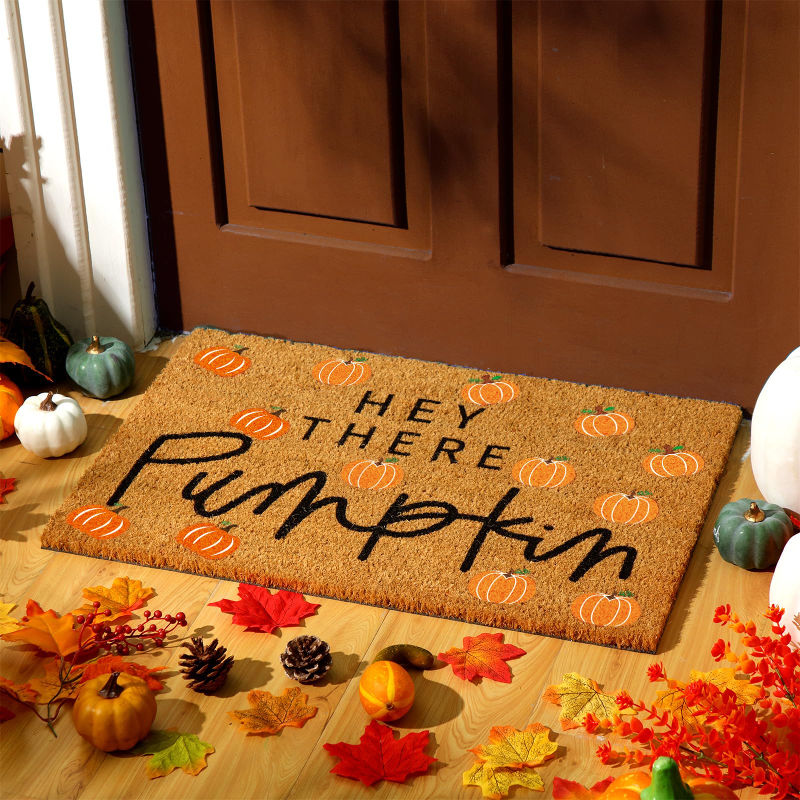 Ceenna Hey There Pumpkins Doormat Fall Coir Doormat Welcome Pumpkins Door Mat Autumn Non Slip Floor Mats Pumpkins Thanksgiving I