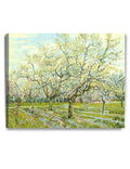 DECORARTS - The White Orchard, Vincent Van Gogh Reproductions. Giclee Canvas Print Wall Art for Home Wall Decor. 30x24x1.5 in