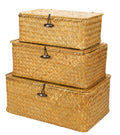 Yesland Shelf Baskets with Lid Set of 3, Handwoven Seagrass Storage Bins Box Rectangular Seagrass Basket Storage Organizer Wicke