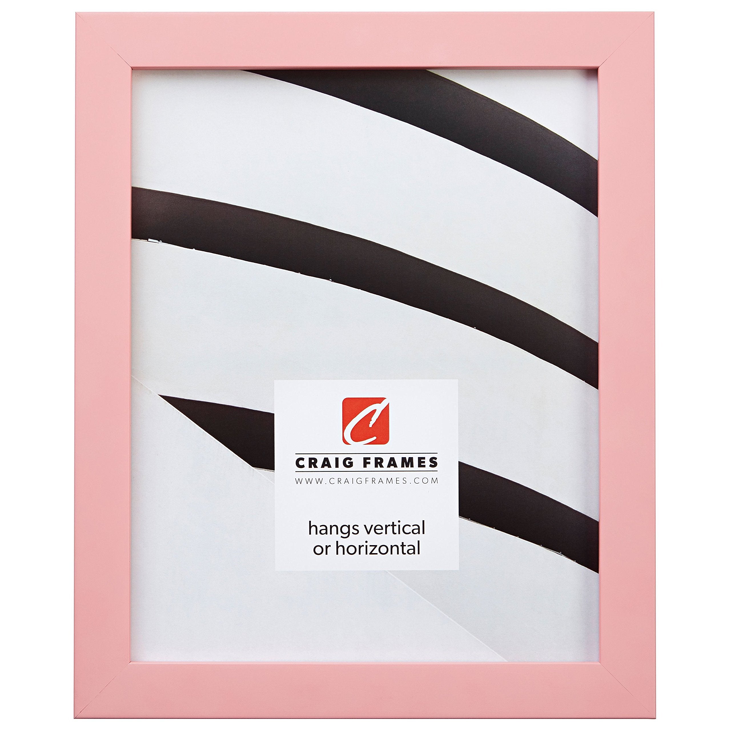 Craig Frames Confetti, Modern Light Pink Picture Frame, 16 x 24 Inch