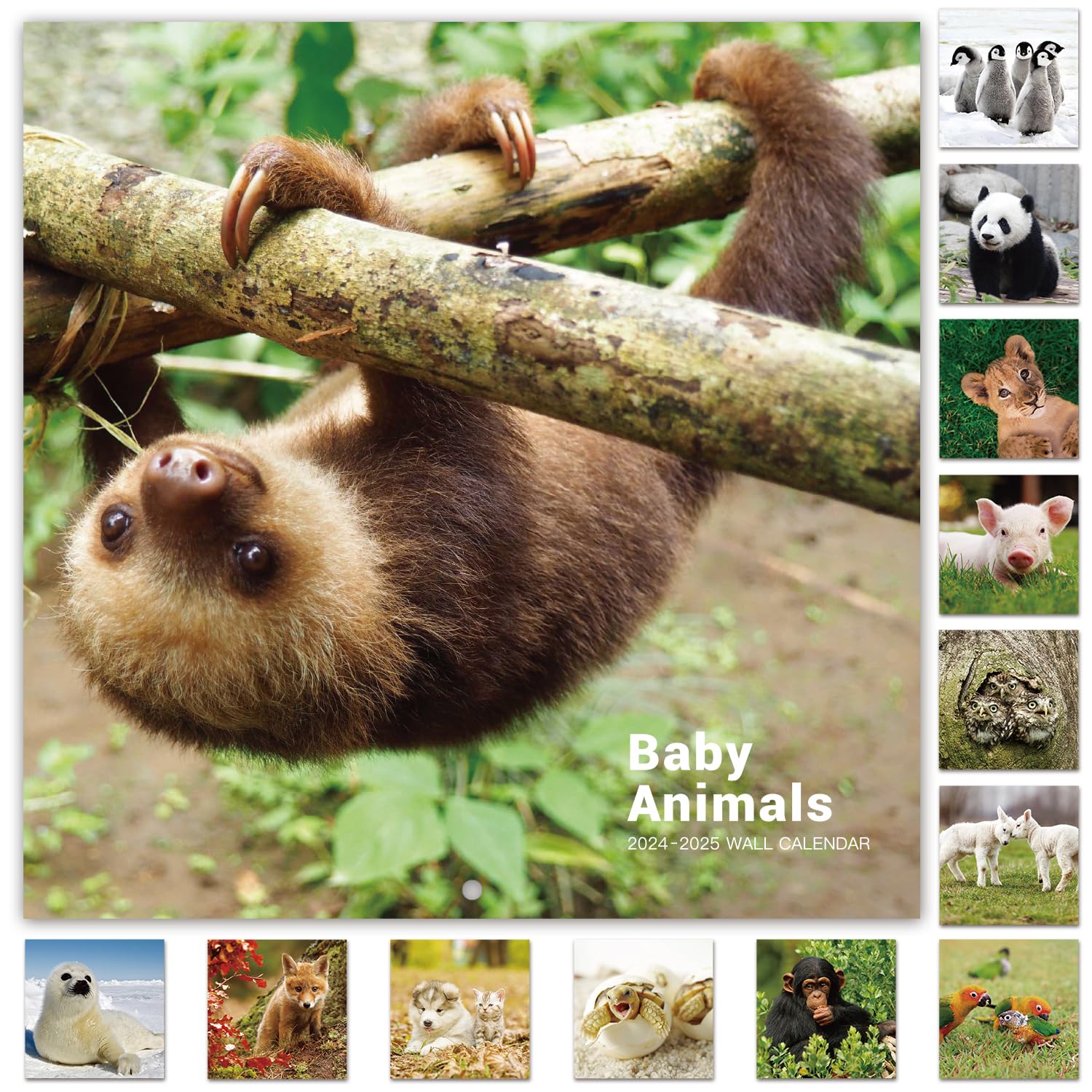 Calendar 2024-2025 - 18 Month Baby Animals Wall Calendar 2024-2025 From July 2024 - December 2025, 12 X 12 Inches, Thick & Sturd