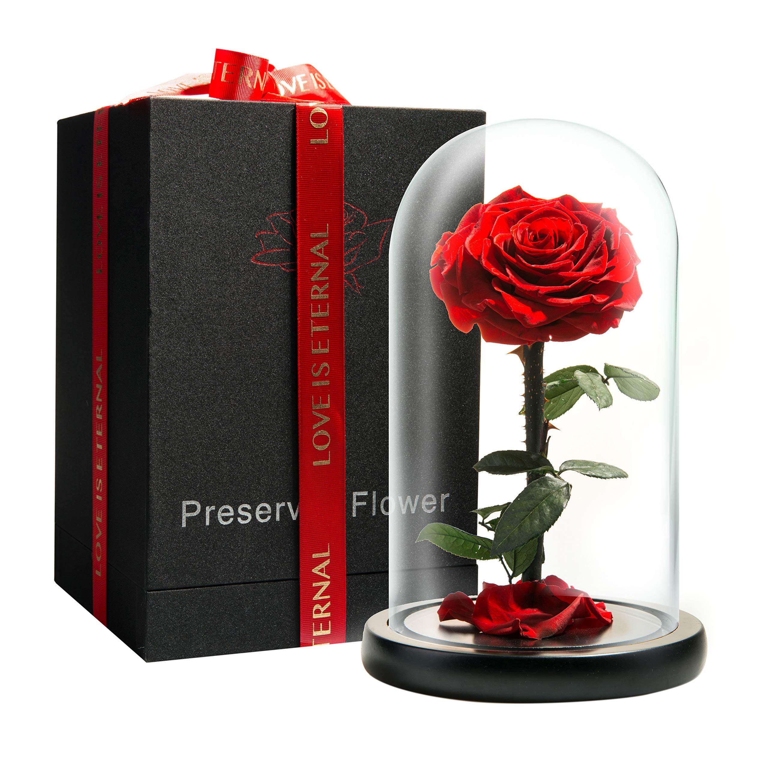 Lovappy Forever Rose - Preserved Eternal Rose In Glass Dome - Beauty And The Beast Rose For Mom - Fresh Flowers For Delivery Pri