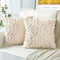 Artscope Pack Of 2 Soft Plush Short Wool Velvet Decorative Throw Pillow Covers Luxury Style Cushion Covers European Pillow Shell
