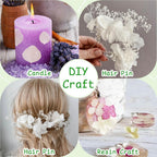 1500Pcs Dried Ivory White Hydrangea Flower Petals - 100% Natural Petals For Wedding, Party Confetti, Valentine'S Day, Flower Gir