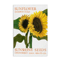 Stupell Industries Sunflower Seeds Design Canvas Wall Art Design by Nancy Overton