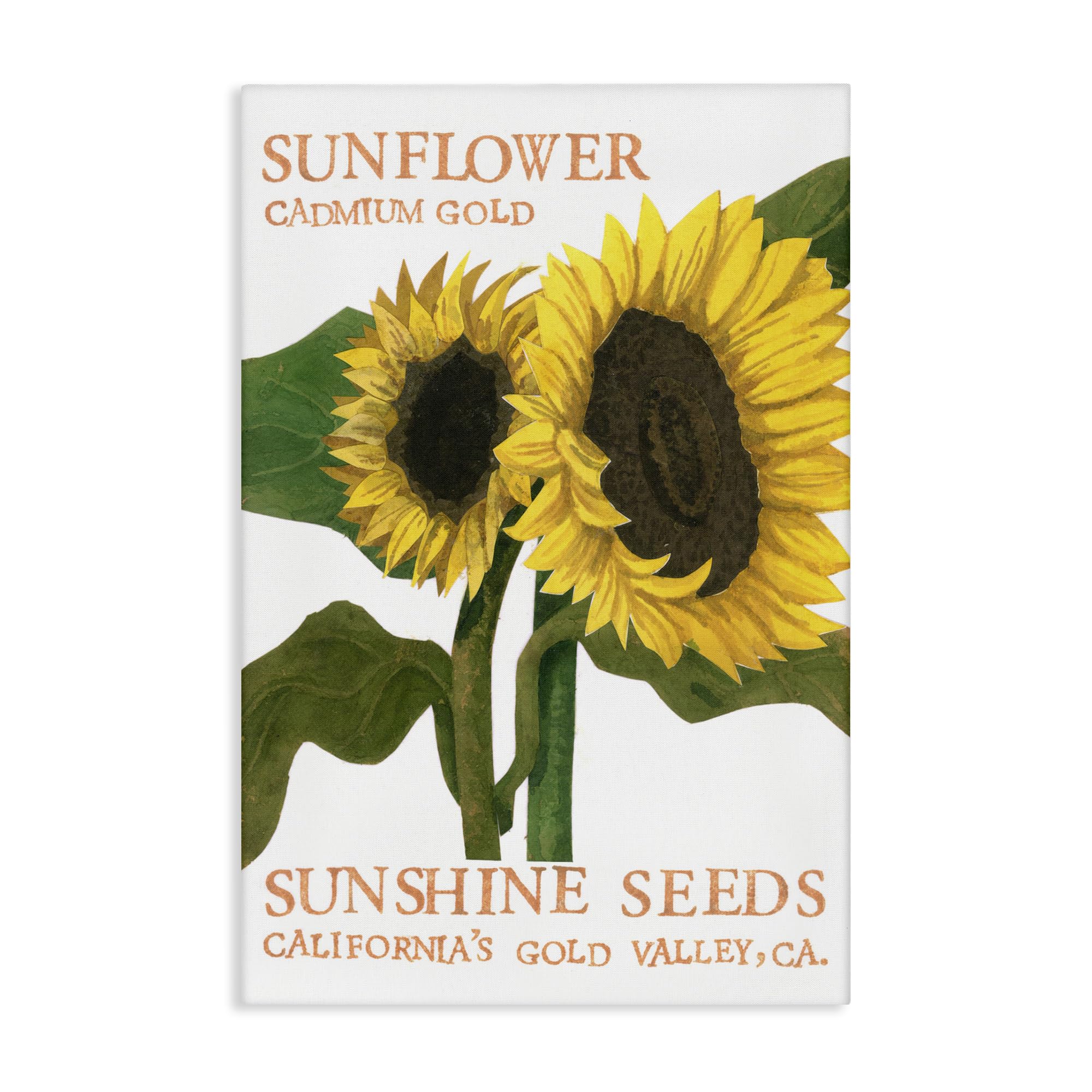 Stupell Industries Sunflower Seeds Design Canvas Wall Art Design by Nancy Overton