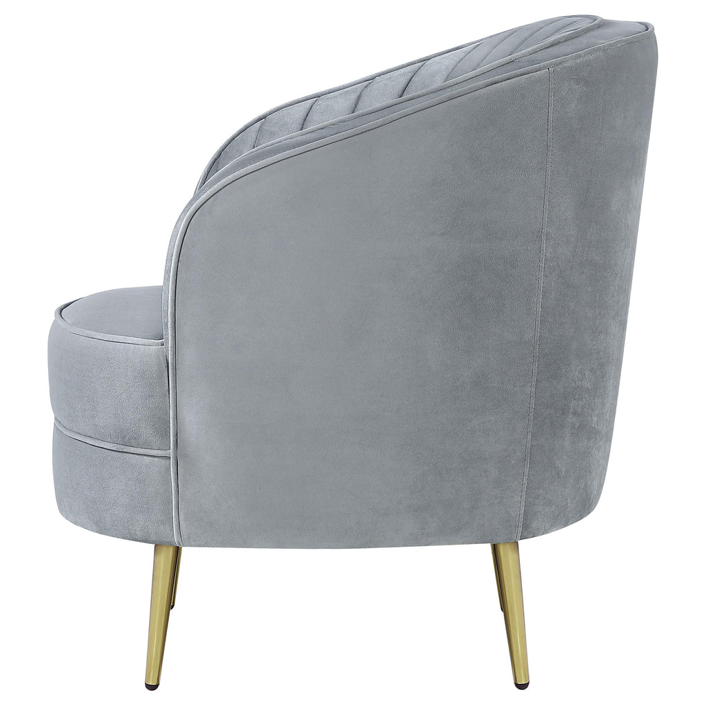 Coaster Sophia Chair, Grey
