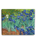 DECORARTS - Irises in the Garden, Vincent Van Gogh Reproductions. Giclee Canvas Print Wall Art for Home Wall Decor. 30x24x1.5 in