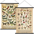 Geosar 2 Pcs Vintage Poster Fungus Art Prints Rustic Wall Hanging Illustrative Reference Chart Poster for Living Room Office Bed