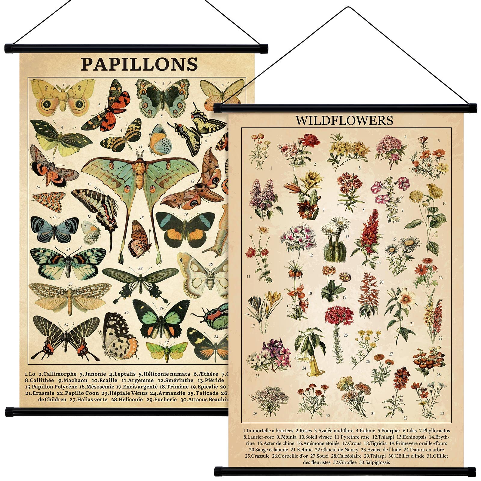 Geosar 2 Pcs Vintage Poster Fungus Art Prints Rustic Wall Hanging Illustrative Reference Chart Poster for Living Room Office Bed