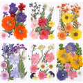 Eboot 72 Pcs Dried Pressed Flowers For Resin Molds Real Pressed Flowers Dry Leaves Bulk Natural Herbs Kit For Scrapbooking Diy A