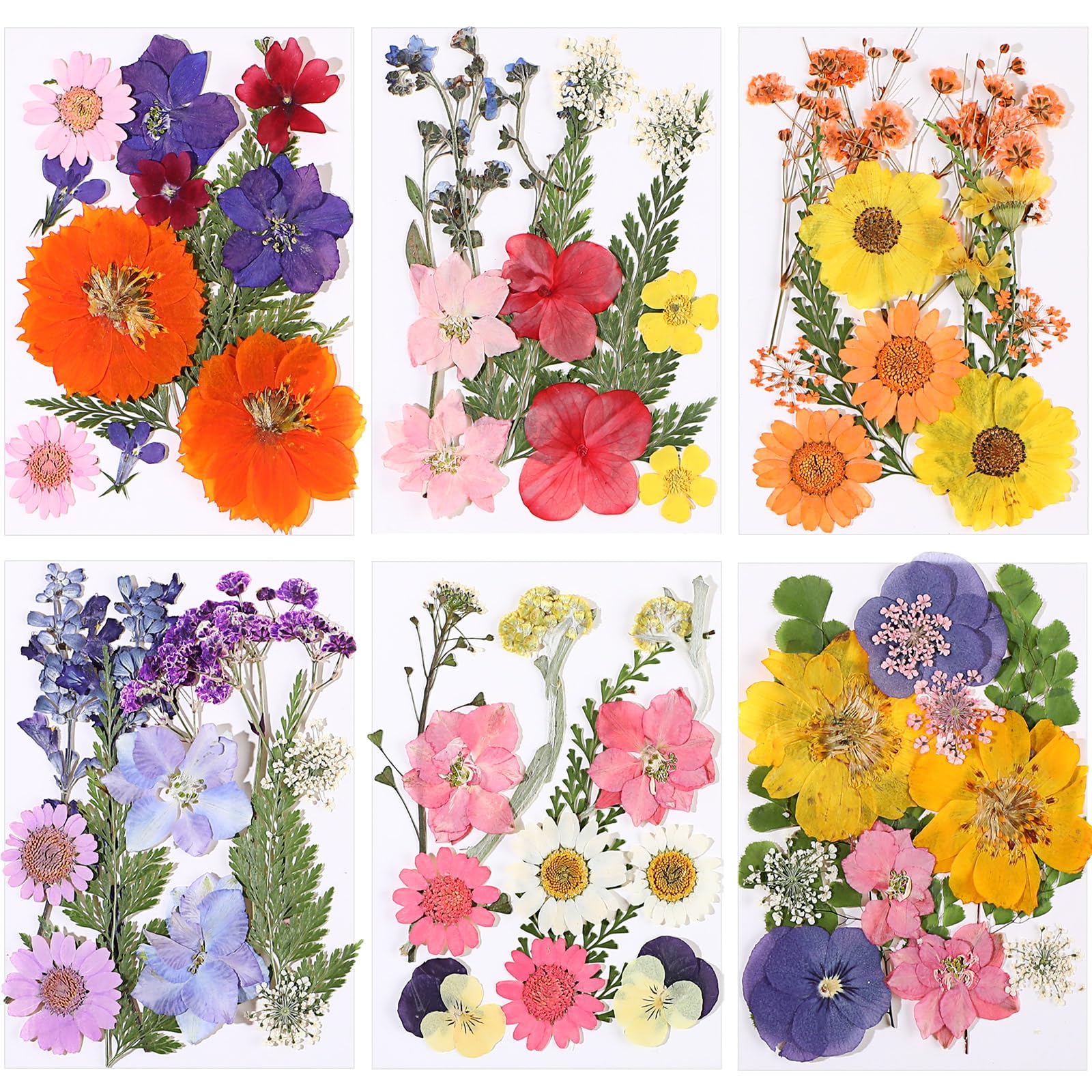 Eboot 72 Pcs Dried Pressed Flowers For Resin Molds Real Pressed Flowers Dry Leaves Bulk Natural Herbs Kit For Scrapbooking Diy A