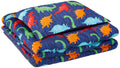 Amazonbasics KidS Comforter Set  Soft, EasyWash Microfiber  Twin, MultiColor Dinosaurs