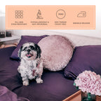 Peachskinsheets Eggplant Sheet Set - 1500Tc Level Of Softness - Extra Soft Cooling Sheets For Hot Sleepers And Night Sweats - Fu