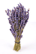 Findlavender - Royal Velvet Lavender Bundles - 14' - 16' Long - Can Be Used for Any Ocassion - Perfect for your wedding - 1 Bu