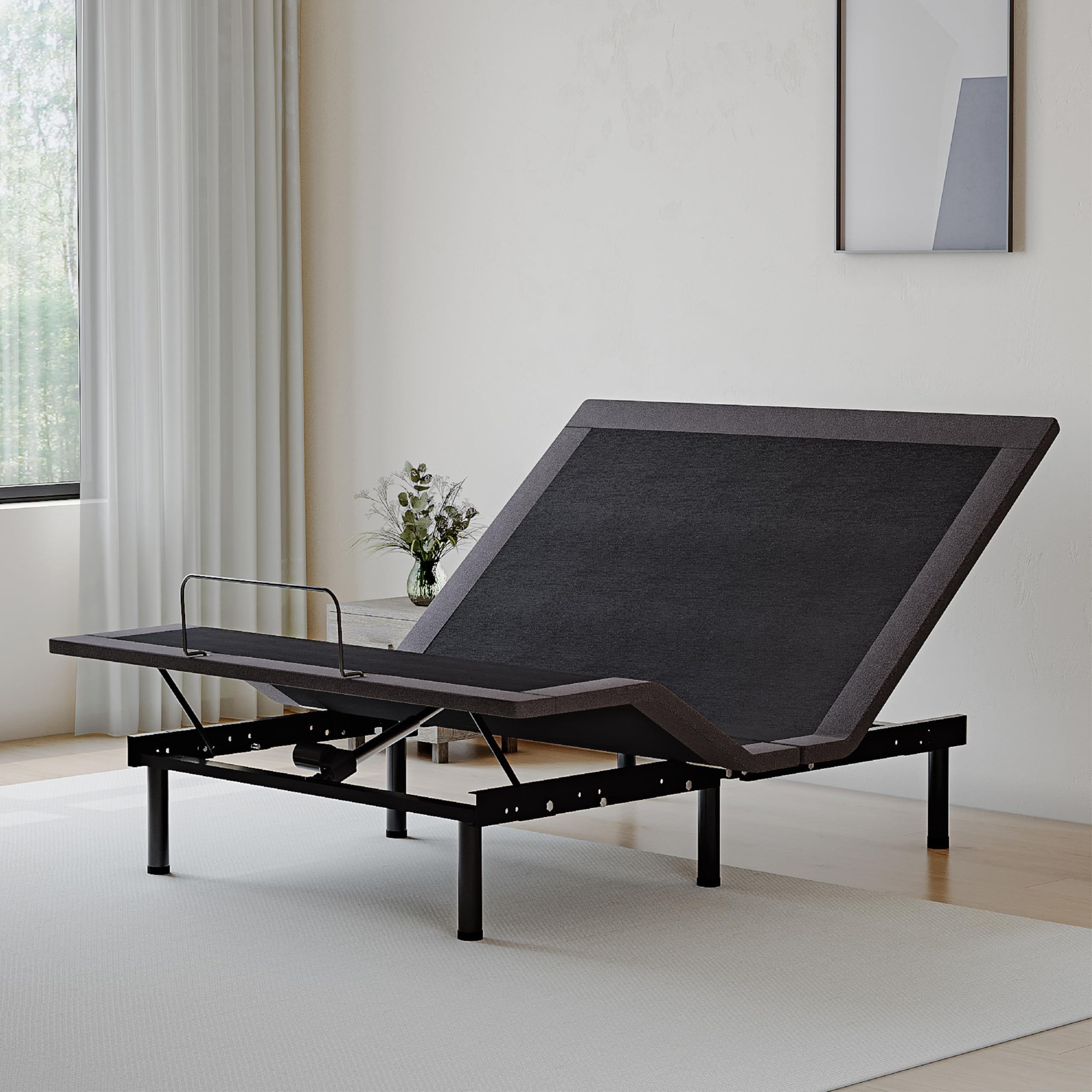 Dyonery Full Adjustable Bed Base Frame,Electric Bed with Head and Foot Incline, Soft Cover & Zero Gravity & Wireless Remote with