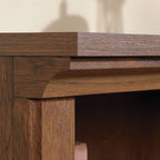 Sauder 2 Tier Book Shelf Wooden Bookcase Multipurpose Bookshelf For Home Office, Living Room, In Oiled Oak