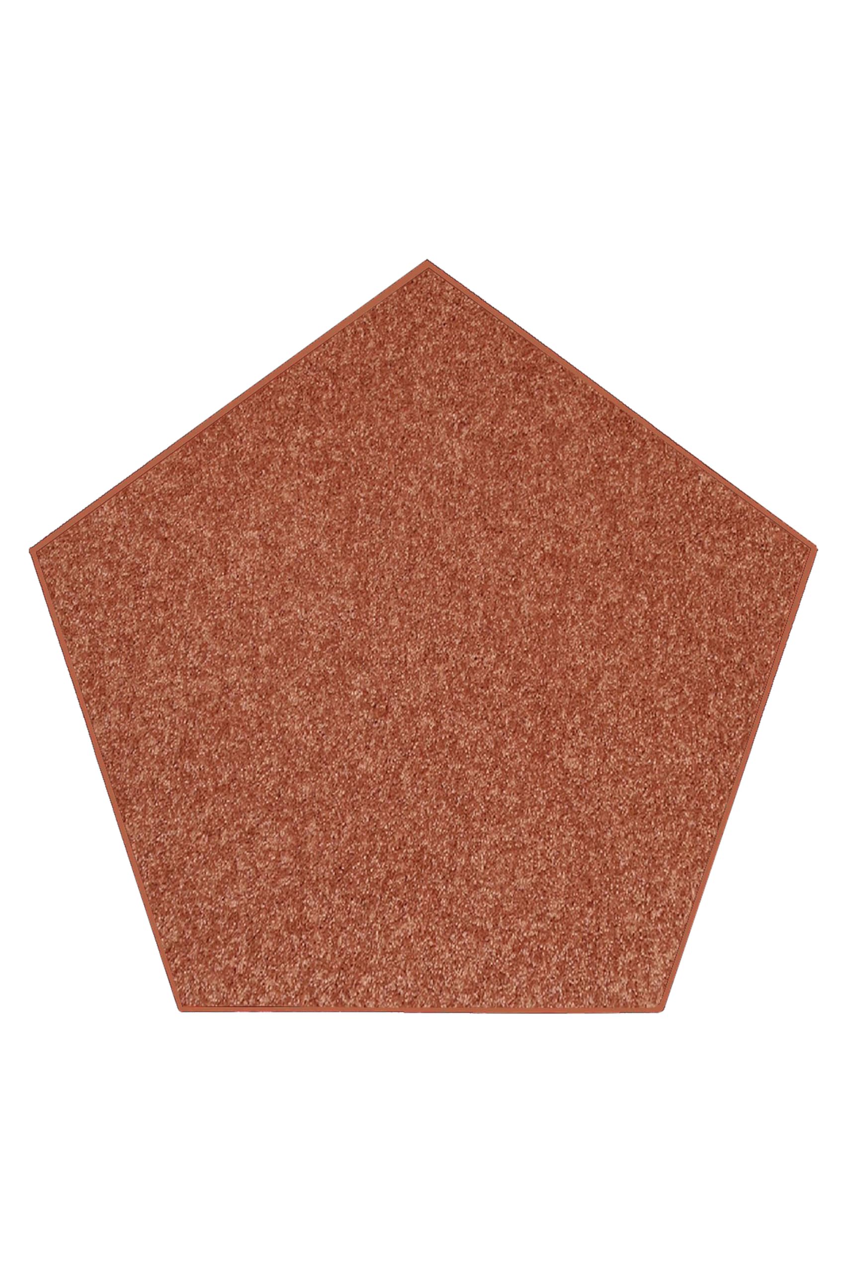 Pet Friendly Solid Color Area Rugs Rust - 10' Pentagon, Indoor, Stain & Fade Resistant, Perfect for Living Room, Bedroom, Dining