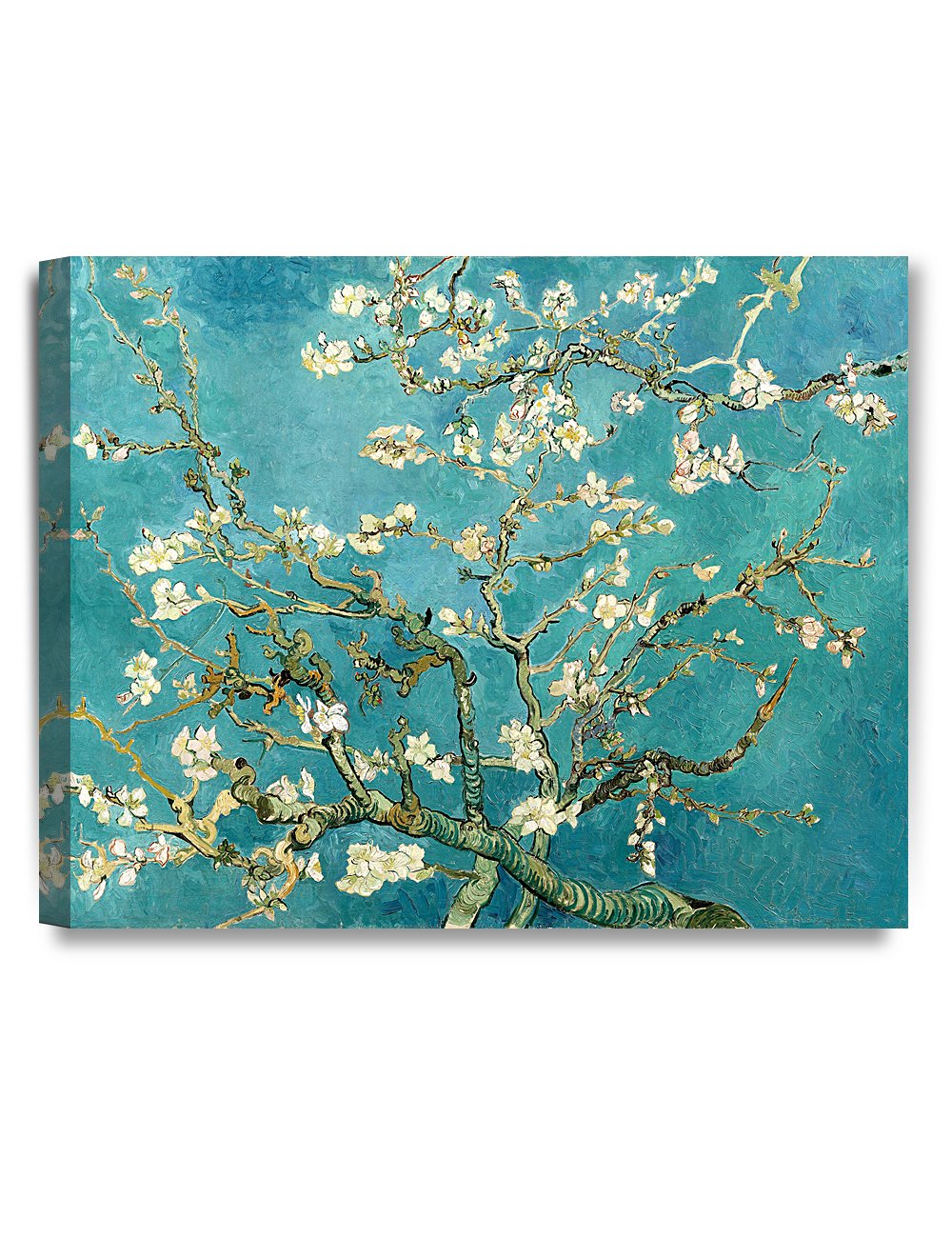 DECORARTS - Almond Blossom Tree - Vincent Van Gogh Art Reproduction. Giclee Canvas Prints Wall Art for Home Decor 20x16, Depth 1