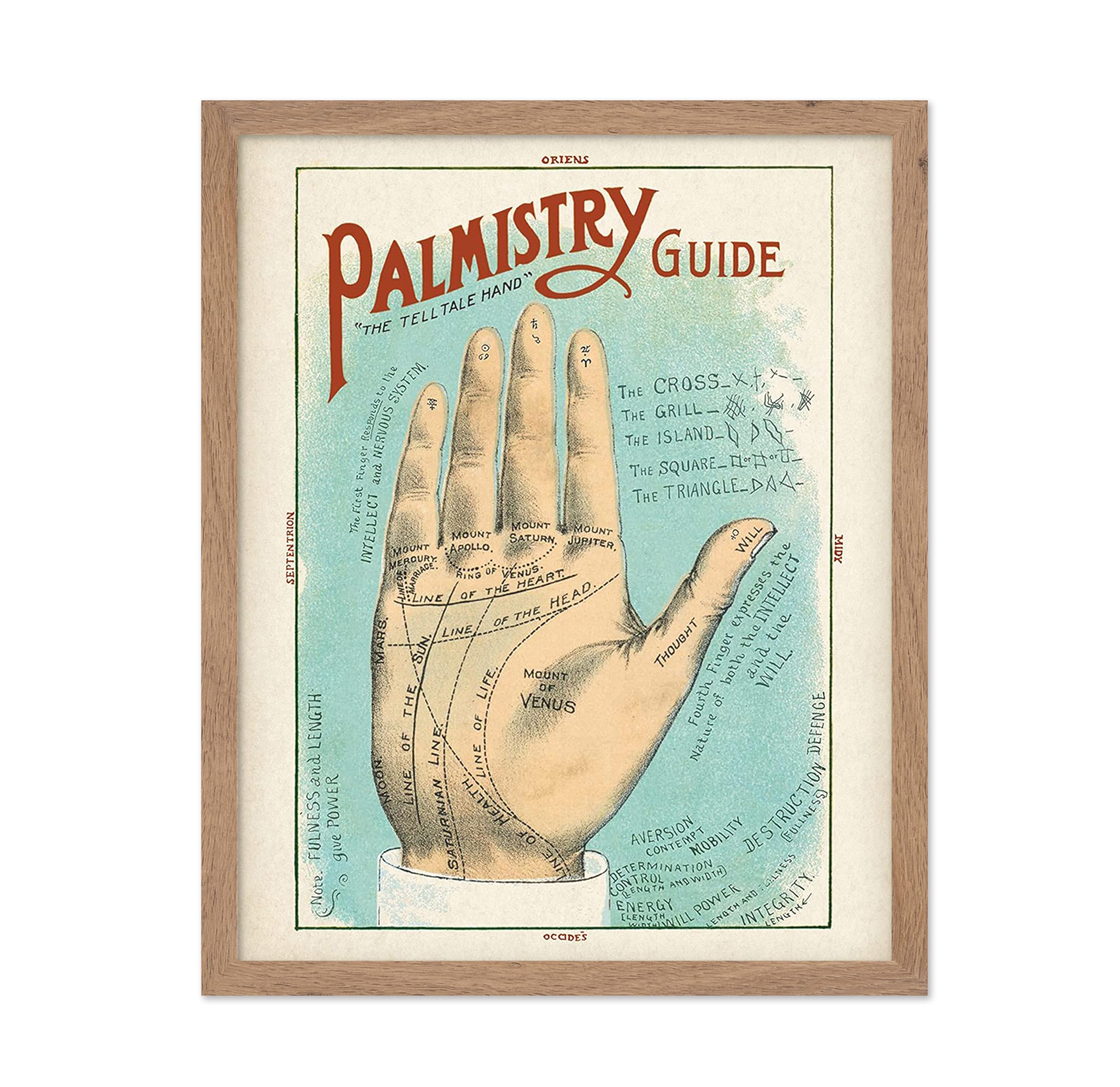 Poster Master Palmistry Guide Illustration Poster - Home Witchy Occult, Wicca, Wiccan Magic Decor Oddities & Curiosities Palm Re