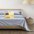 Thread Spread 100% Egyptian Cotton Printed Bed Sheets - 600 Thread Count 4 Pc Queen Sheet Set, Hotel Luxury Sateen Bedsheets, 16' Deep Pocket Soft Cooling Sheets For Queen Size Bed - Variegated Stripe