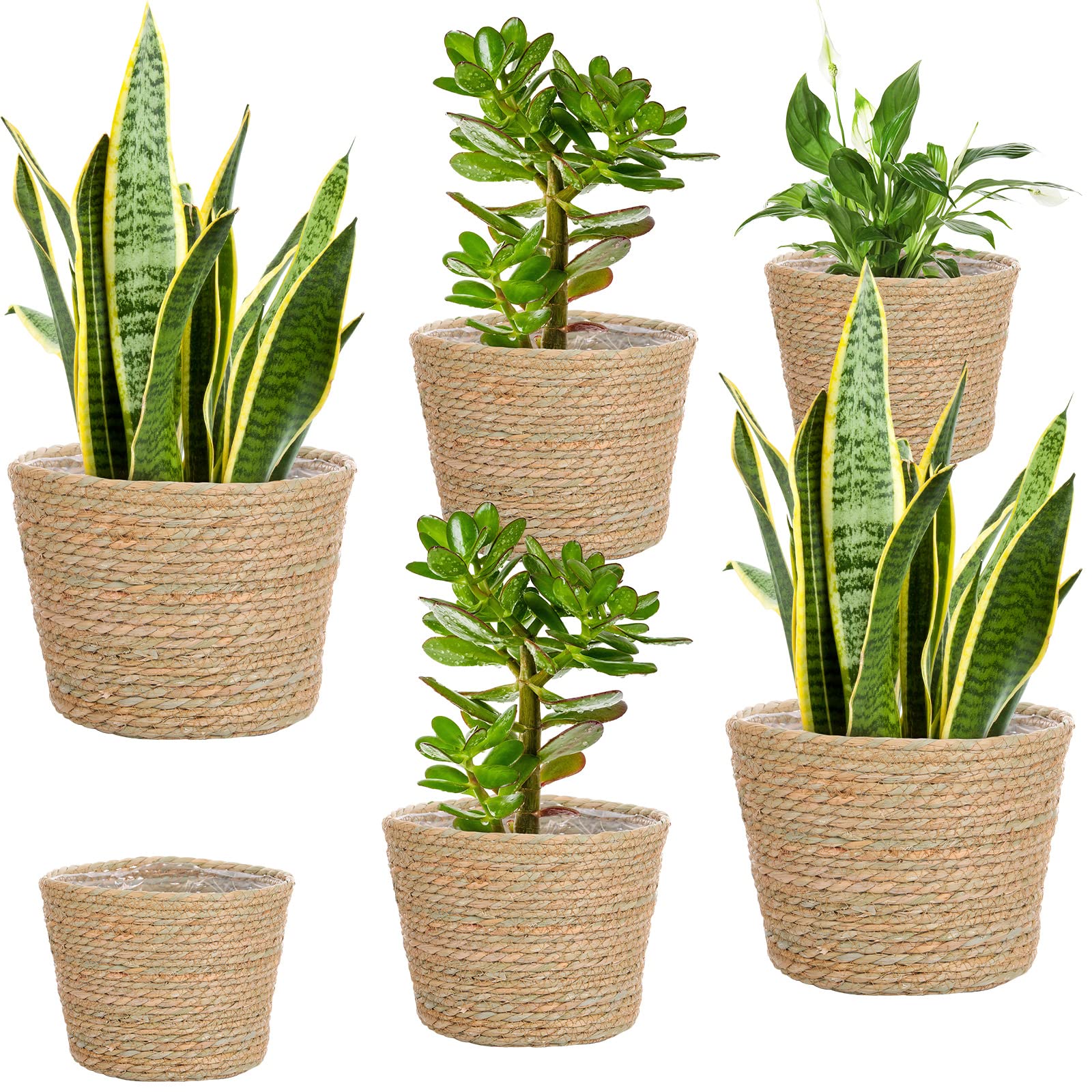 6 Pcs Seagrass Planter Basket Flower Pots Cover Plant Baskets Hand Woven Plant Basket Storage Plant Containers With Plastic Line