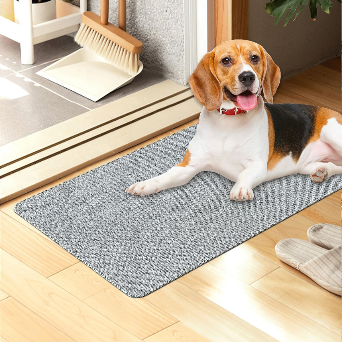 Yancorp Front Door Mat Ultra-Thin 1/10 Inch Entry Rug 16'X 28' Non-Slip Rubber Backing Indoor Doormat For For Entryways, Front