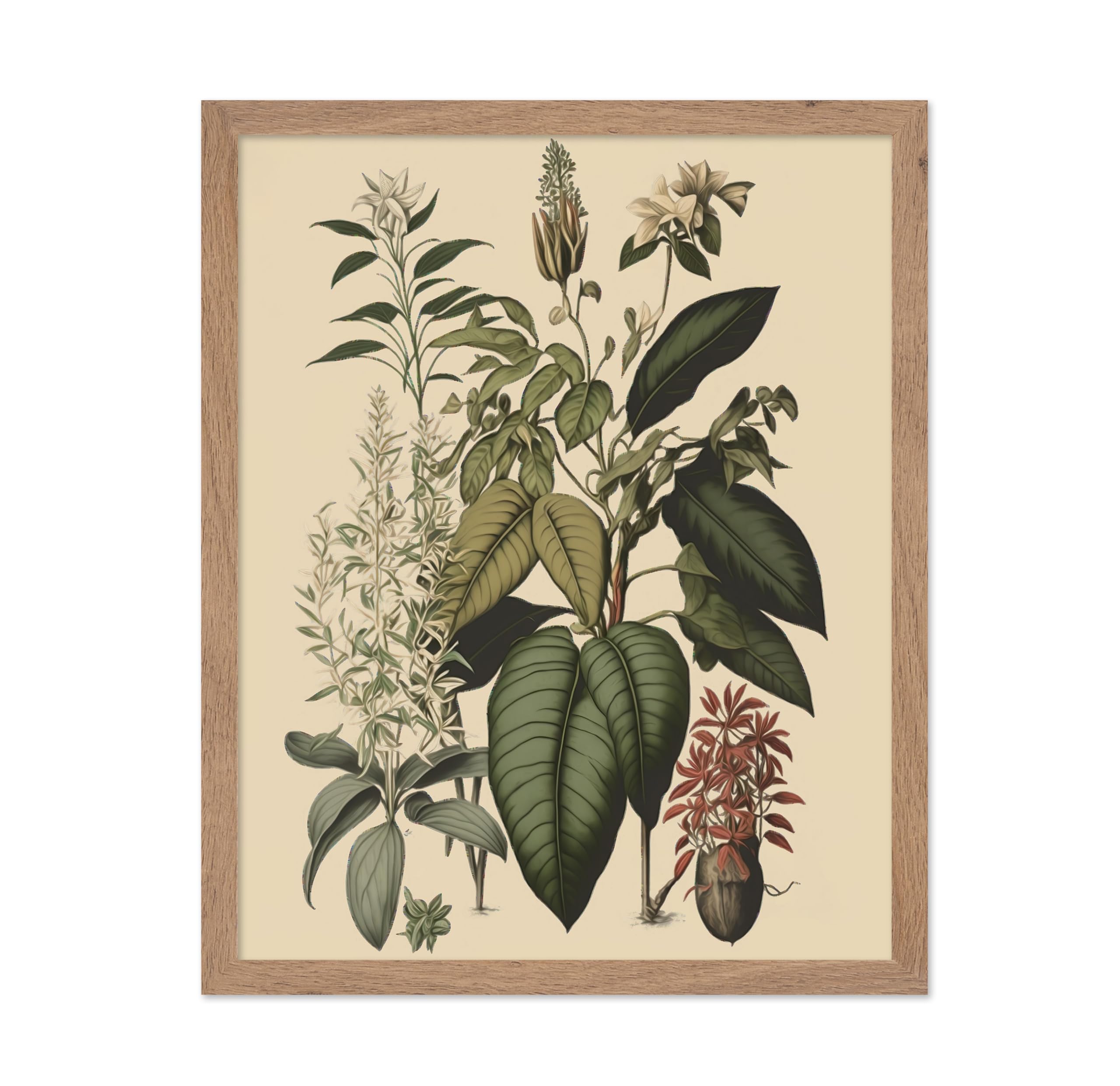 Poster Master Vintage Botanical Poster - Retro Floral Print - Gift for Gardener, Housewarming - Jasmine, Orchid, Flower, Leaf, B