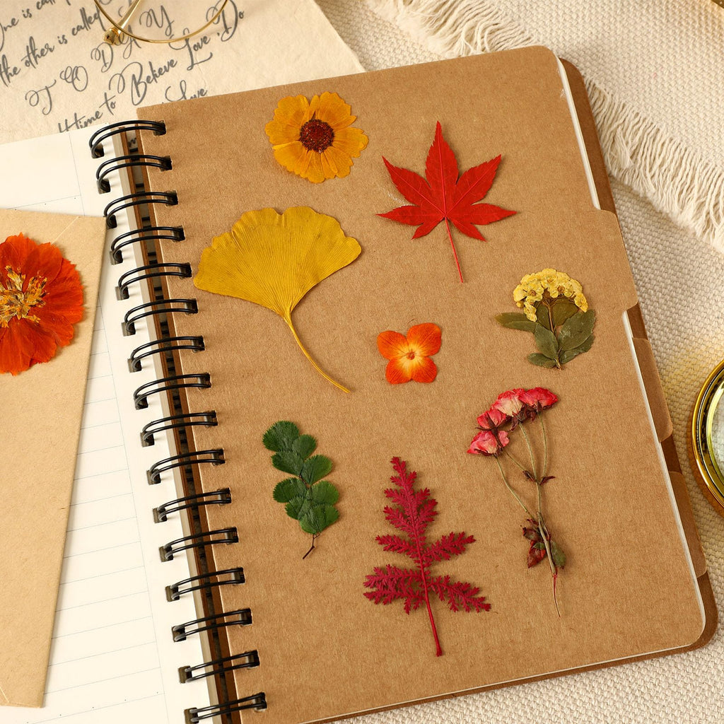Augshy Fall Dried Pressed Flowers,100 Pcs Autumn Dried Flowers Leaves For Resin Molds Real Pressed Flowers For Crafts Diy Jewelr