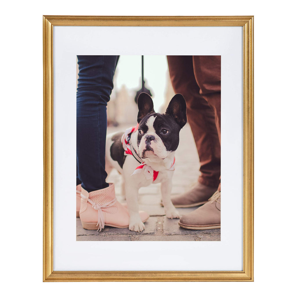 Kate And Laurel Adlynn Wall Picture Frame Set, 14'' X 18'' Matted To 11'' X 14'', Gold, Set Of 3