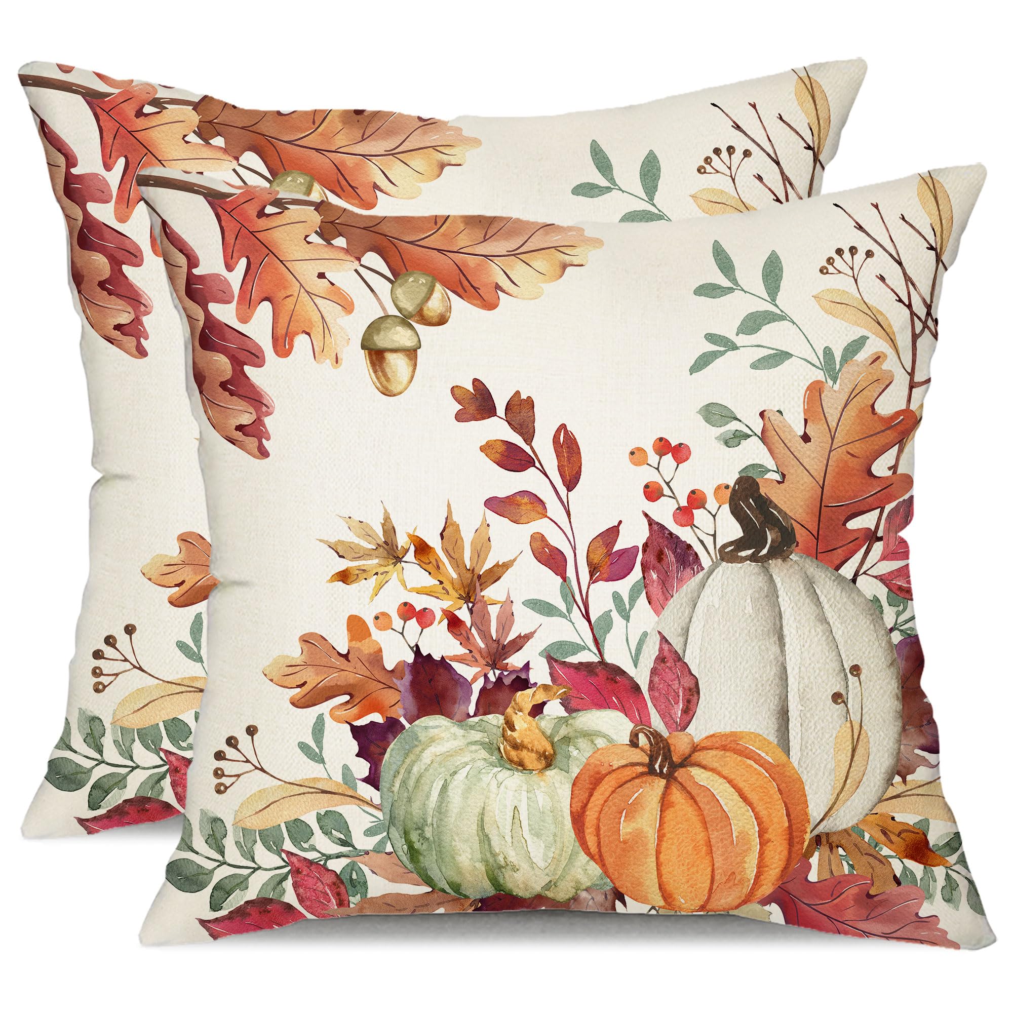 Dfxsz Fall Pillow Covers 20X20 Inch Set Of 2 Orange White Pumpkin Fallen Leaves Decorative Outdoor Throw Pillow Covers Autumn Thanksgiving Farmhouse Decoration For Home Couch Th27-A20