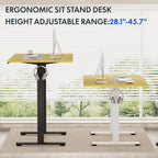 Flexispot En1 Electric Stand Up Desk 55 X 28 Inches Whole-Piece Desk Ergonomic Memory Controller Standing Desk Height Adjustable Desk(Black Frame + 55' Maple Top, 2 Packages)
